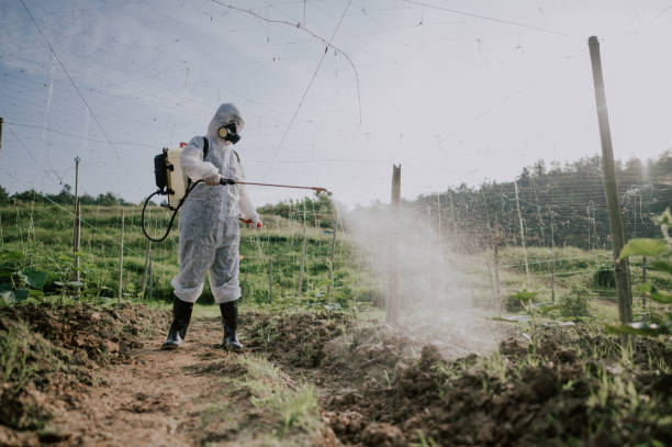 Best Local Pest Control Services  in West Sayville, NY