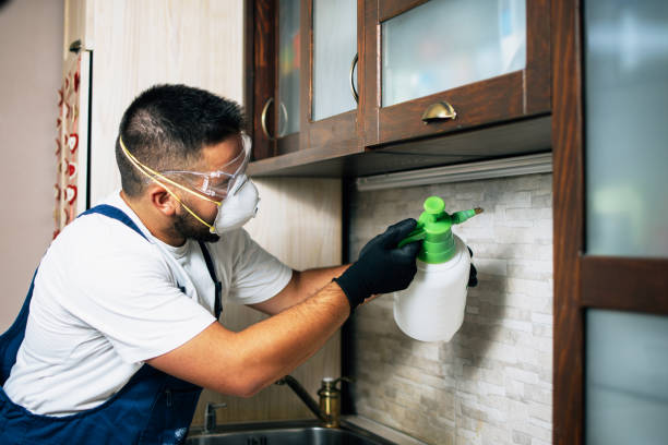 Best Wasp Removal Services  in West Sayville, NY
