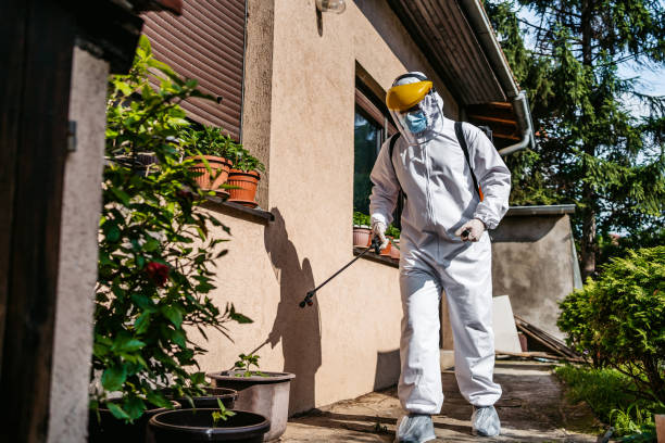 Professional Pest Control in West Sayville, NY