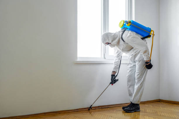 Best Best Pest Control Companies  in West Sayville, NY