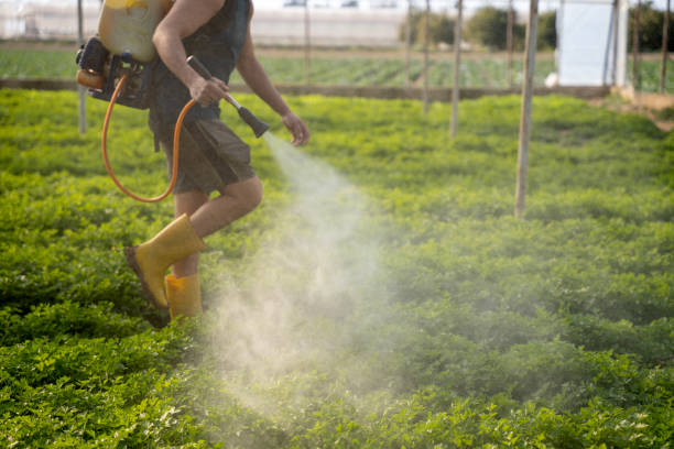 Best Pest Removal Services  in West Sayville, NY