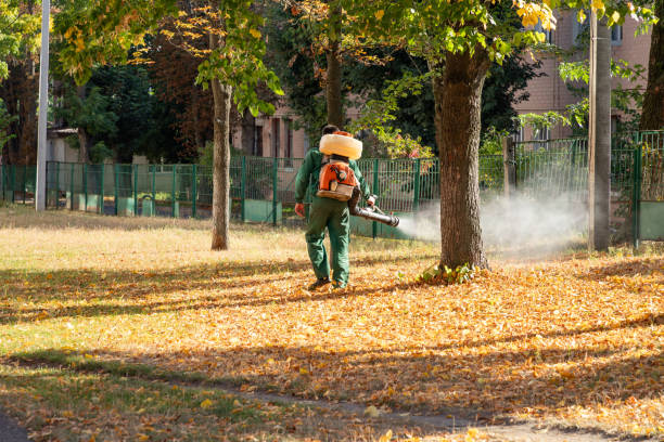 Best Best Pest Control Companies  in West Sayville, NY