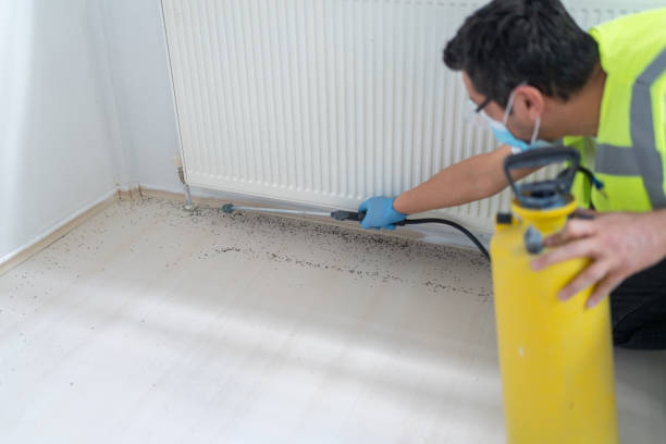Best Pest Removal Services  in West Sayville, NY